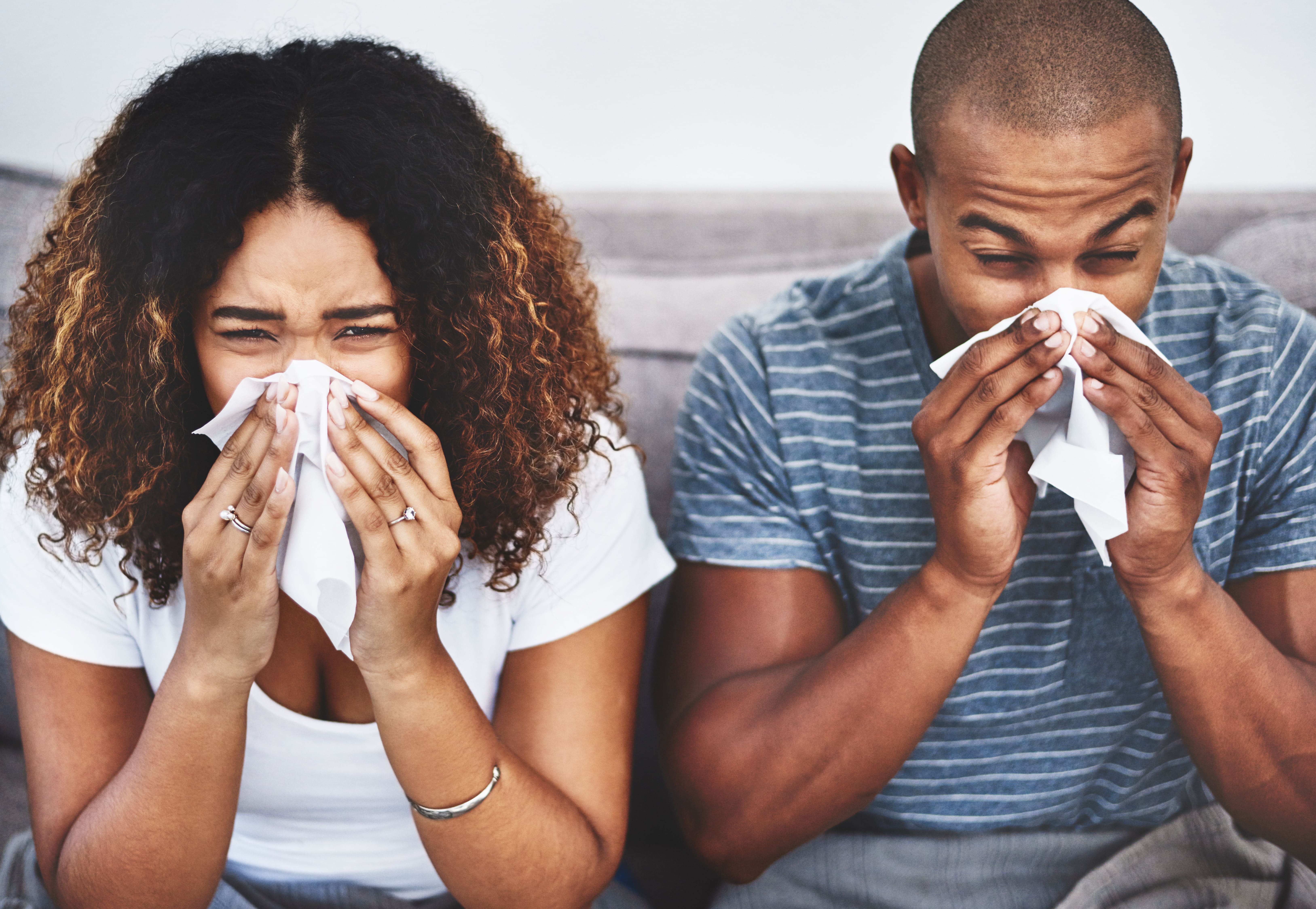 L'allergie aux acariens